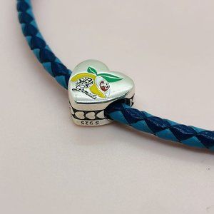 Grenada Heart Bead Charm Nutmeg Pendant Travel s925 Sterling Silver, Charm